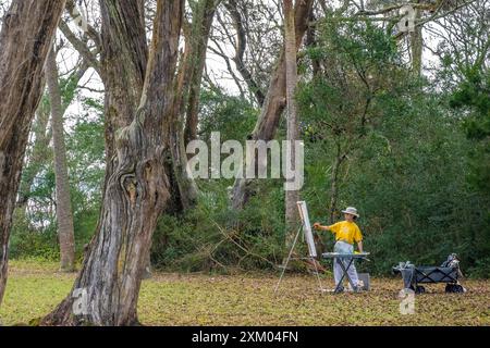 Plein Air Painter sui terreni della piantagione di Kingsley lungo la palude salata del fiume Fort George a Jacksonville, Florida. (USA) Foto Stock