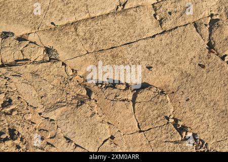 sfondo in pietra arenaria naturale, motivo di fondo in pietra incrinata ad alta risoluzione. Vista superiore con spazio di copia Foto Stock