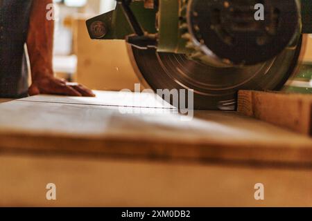 Carpenter sta tagliando una tavola di legno utilizzando una sega circolare in un'officina di falegnameria, con la segatura che vola attraverso l'aria Foto Stock