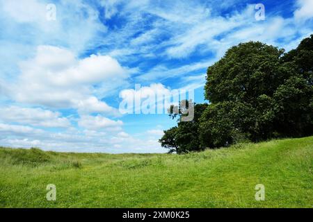 Campagna di Dorset - Giovanni Gollop Foto Stock