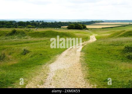 Pista che attraversa la fortezza dell'età del ferro a Badbury Rings, Dorset - John Gollop Foto Stock