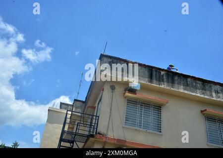 Siliguri, Bengala Occidentale, India. 25 luglio 2024. Un lavoratore colora un muro nel cantiere di un alto edificio a Siliguri. (Credit Image: © Diptendu Dutta/ZUMA Press Wire) SOLO PER USO EDITORIALE! Non per USO commerciale! Foto Stock