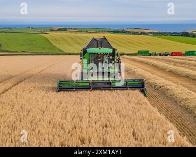 Raccolta dell'orzo invernale a Ballinspittle, Co Cork, luglio 2024 Foto Stock