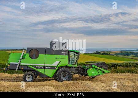 Raccolta dell'orzo invernale a Ballinspittle, Co Cork, luglio 2024 Foto Stock