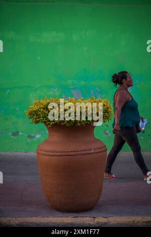 Donna che passa accanto a un enorme vaso di fiori contro il muro verde nel centro di Granada, Nicaragua Foto Stock