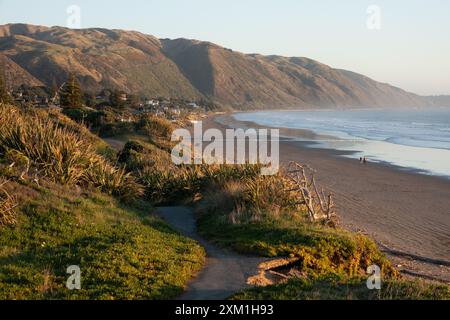 Vista del parco Queen Elizabeth che guarda a sud verso Paekakariki e Pukerua Bay a Kapiti, nuova Zelanda Foto Stock