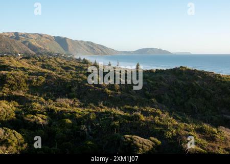 Vista del parco Queen Elizabeth che guarda a sud verso Paekakariki e Pukerua Bay a Kapiti, nuova Zelanda Foto Stock