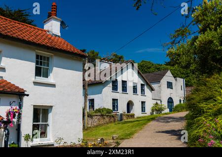 Case antiche colorate sulla strada principale di Caldey Island, Galles Foto Stock