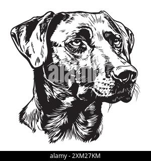 Scogliera della testa del cane Huntaway. Illustrazione vettoriale Illustrazione Vettoriale