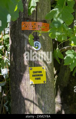 Segnale del cavo dati Internet a fibra ottica sospeso sul palo Portfield Gate, Pembrokeshire, Galles, Regno Unito Foto Stock