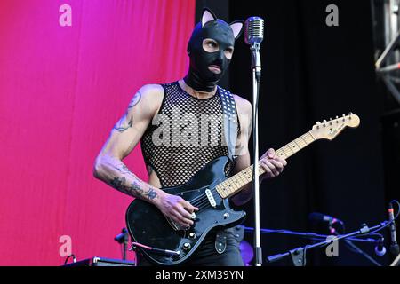 Animaux Formidables durante il Tour estivo 2024 al Rock in Roma, Ippodromo delle Capannelle 24 luglio 2024 a Roma, Italia. Foto Stock