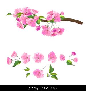 Grafica vettoriale di Sakura su sfondo bianco. Illustrazione realistica di fiori rosa. Un'immagine dei tre rami dei ciliegi in fiore. Illustrazione Vettoriale