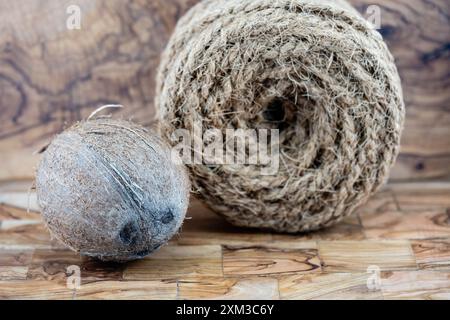 Polpa secca di copra e corde di fibre di cocco Cocos nucifera Foto Stock