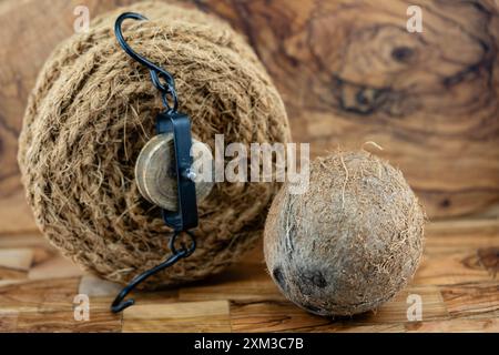 Polpa secca di copra e corde di fibre di cocco Cocos nucifera Foto Stock