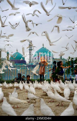 Una ragazza cerca di catturare una delle tante colombe bianche che vivono al Santuario di Hazrat Ali, noto anche come la Moschea Blu, Mazar-i-Sharif, Afghanistan Foto Stock