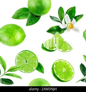 Il motivo acquerello presenta fette e foglie di lime, perfette per design freschi e agrumati Foto Stock