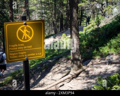 Segnaletica fragile area Tunnel Mountain, Banff, Alberta, Canada Foto Stock