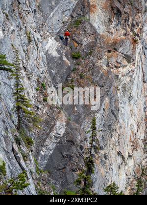 Piccolo scalatore solista con giacca rossa. Tunnel Mountain, Banff, Canada Foto Stock