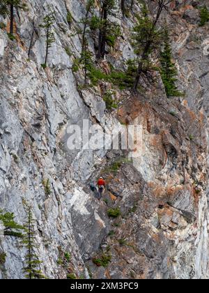 Piccolo scalatore solista con giacca rossa. Tunnel Mountain, Banff, Canada Foto Stock