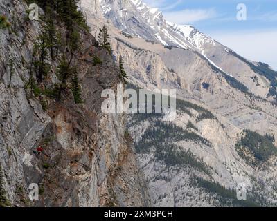 Piccolo scalatore solista con giacca rossa. Tunnel Mountain, Banff, Canada Foto Stock