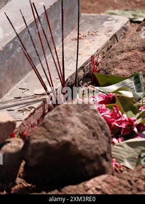 Un mucchio di fiori rossi e foglie verdi si trovano sulla cima di una roccia Foto Stock