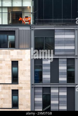 Boogie Red Cow alla finestra dell'ufficio Forth radio, St James Quarter, Edimburgo, Scozia, Regno Unito Foto Stock