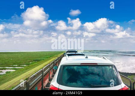 Servizio navetta ferroviario con veicoli a motore sull'Hindenburgdamm tra Sylt e Niebül Foto Stock