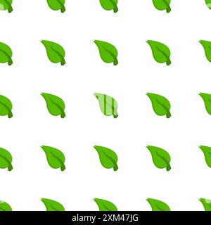 Sfondo con vettore lamelle verde. Elegante sfondo estivo senza cuciture. Vettore di foglie in caduta. Set di foglie verdi su sfondo bianco. Illustrazione Vettoriale