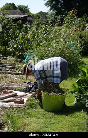 Una donna anziana che lavora nel suo giardino o in un giorno d'estate di sole Foto Stock