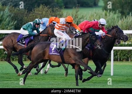 Sceptred Isle cavalcata da Chris Hayes sulla strada per vincere l'Hipodromo De la Zarzuela Madrid handicap all'ippodromo di Leopardstown, Dublino. Data foto: Giovedì 25 luglio 2024. Foto Stock