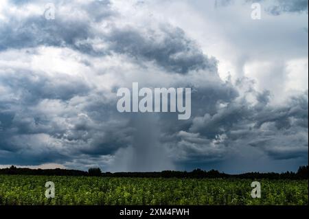 Un Downburst of Rain sta emettendo da questo piccolo temporale. Giornata Internazionale del cielo, giornata Mondiale Meteorologica cambiamenti climatici Foto Stock