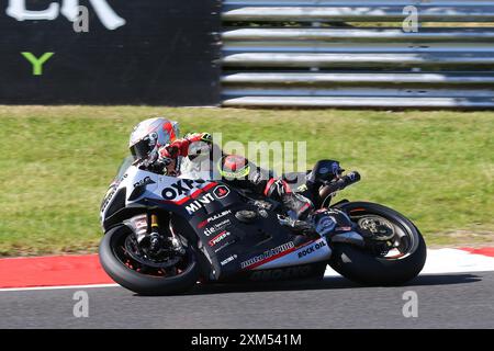 Christian Iddon - Oxford Products Racing Ducati - pilota numero 21 su una Ducati al round British Superbike (BSB) 2024 a Brands Hatch nel luglio 2024 Foto Stock