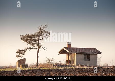 Questa immagine ritrae un capannone situato nella campagna rurale della Vojvodina, in Serbia. Il capannone si trova in un campo aperto con un albero solitario nelle vicinanze, creando un Foto Stock