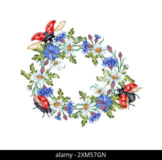 Fiori azzurri fiori di mais ghirlanda e coccinelle illustrazione acquerello. Elemento di composizione botanica isolato dallo sfondo. Adatto per cosmetici, Foto Stock