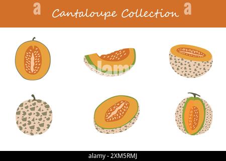 collezione cantaloupe. cantaloupe in pose diverse. Illustrazione vettoriale. Illustrazione Vettoriale