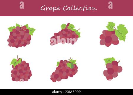 raccolta delle uve. uva in pose diverse. Illustrazione vettoriale. Illustrazione Vettoriale