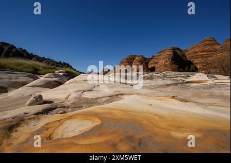 Spesso strato di struttura picanniniosa con cupole alveari nelle catene della giungla (Purnululu), Australia Occidentale Foto Stock