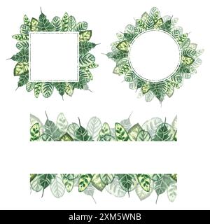 Cornice quadrata e rotonda con foglie di verde tropicale, striscione senza cuciture. Acquerello estivo design realistico delle piante. Modello esotico hawaiano per il saluto Foto Stock