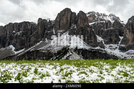 Sperimenta l'impressionante contrasto tra le cime innevate del gruppo Cir e un primo piano di lussureggianti prati verdi, catturando la bellezza unica del Dol Foto Stock