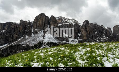 Il delicato equilibrio di giugno: Il Sellagruppe Corvara si innalza maestosamente sullo sfondo, mentre le macchie innevate si fondono delicatamente con la vibrante erba verde Foto Stock