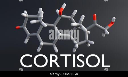 Una rappresentazione 3D delle molecole di cortisolo, l'ormone da stress primario prodotto dalle ghiandole surrenali Foto Stock