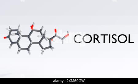 Una rappresentazione 3D delle molecole di cortisolo, l'ormone da stress primario prodotto dalle ghiandole surrenali Foto Stock