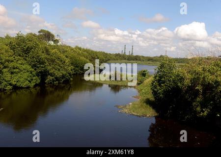 (240726) -- GAMPAHA, 26 luglio 2024 (Xinhua) -- questa foto mostra una vista delle mangrovie e paludi di Muthurajawela a Gampaha, Sri Lanka, il 25 luglio 2024. La giornata mondiale delle mangrovie si celebra il 26 luglio. Muthurajawela Mangroves and Wetlands, situata 19 chilometri a nord di Colombo, è stata identificata come una delle zone umide più importanti per contribuire al controllo delle inondazioni. Questo ecosistema di mangrovie può essere utilizzato in modo sostenibile per fornire i benefici economici ed ecologici alla nazione. Tuttavia, rimane un ecosistema estremamente vulnerabile e necessita di interventi rapidi e forti per la co Foto Stock