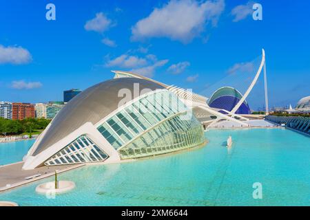 Valencia, Spagna - 12 luglio 2024: Architettura distintiva e moderna nella città delle Arti e delle Scienze di Valencia, circondata da acque tranquille e greene Foto Stock