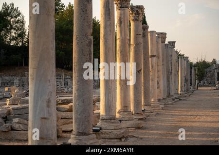 Vista serale della strada colonnata nell'antica città di Efeso a Selcúk Foto Stock