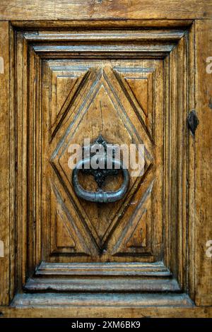 Porta in legno dal design complesso con l'esclusivo Knocker in un ambiente storico europeo Foto Stock