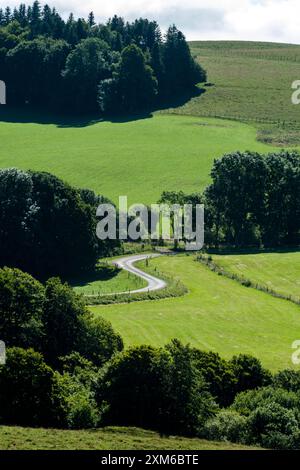 Una strada tortuosa attraversa una valle verdeggiante, circondata da colline verdi ondulate e fitti alberi. Auvergne. Francia Foto Stock