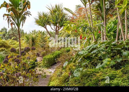 Giardino subtropicale al Giardino Botanico di Funchal, Madeira, Portogallo Foto Stock