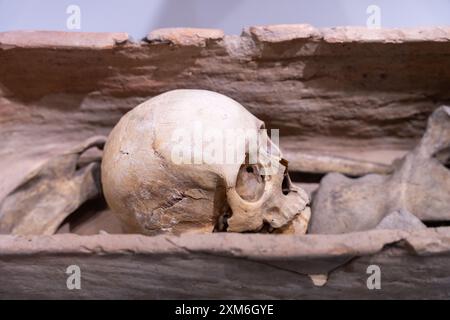 Un teschio è adagiato su una scatola di legno Foto Stock