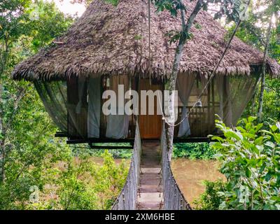 Alloggi glamping nella foresta pluviale Amazzonica. Treehouse in legno, Foresta pluviale Amazzonica, Amazzonia, Pacaya Samiria National Reserve, Perù, Sud America. Foto Stock